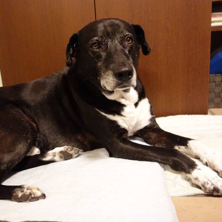 24978514 1f59 4c2a ba5a f1c2f9f1495c 1748603158535