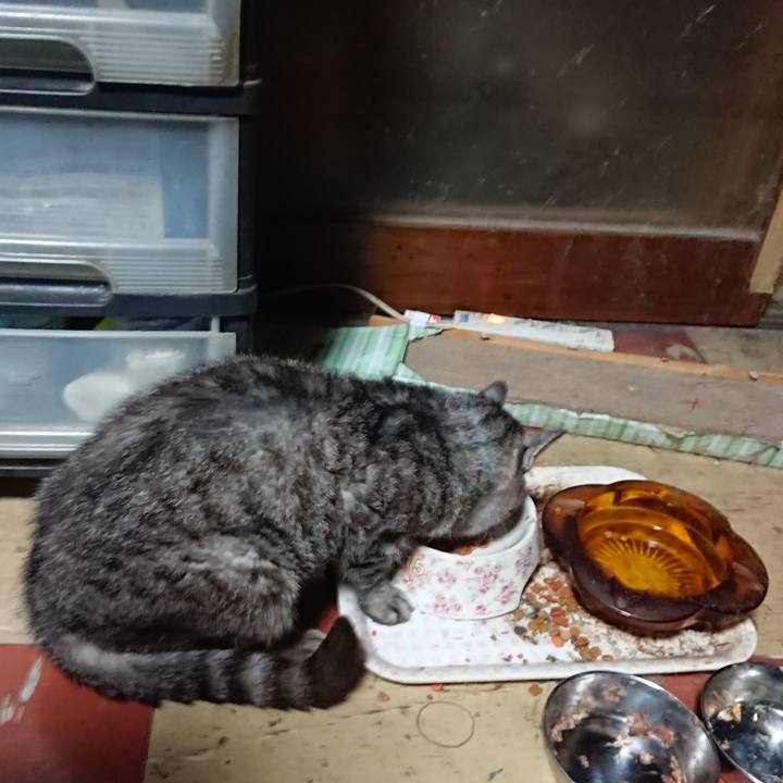 2497cfe4 05c7 4929 86e0 a24cd1b64565 1570737267700