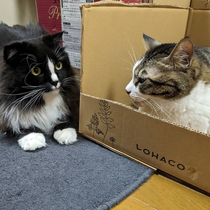 2497e58e fc3f 43c5 9077 ddb0b6b0eb45 1701945594767