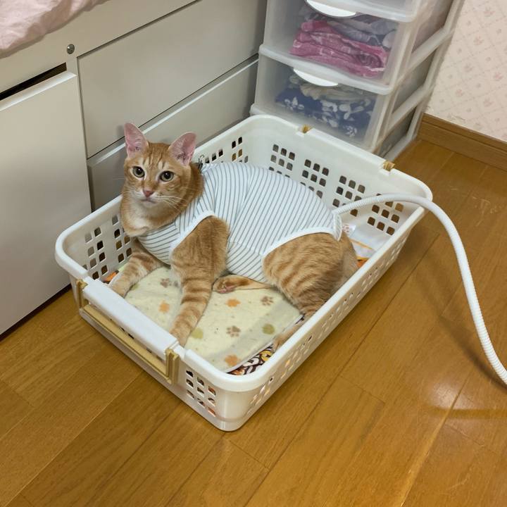 2497f12d 7c74 42c2 945b 13d5c9be0e2b 1569679274281