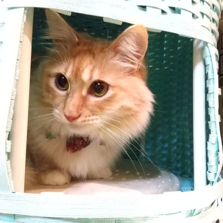 249803dc 0a03 47c0 826e 873eafda3eba 1645224481655