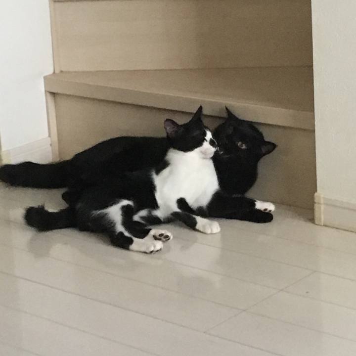 24980d21 65d5 4ad9 86dd 9e99a5bd4886 1537777730239