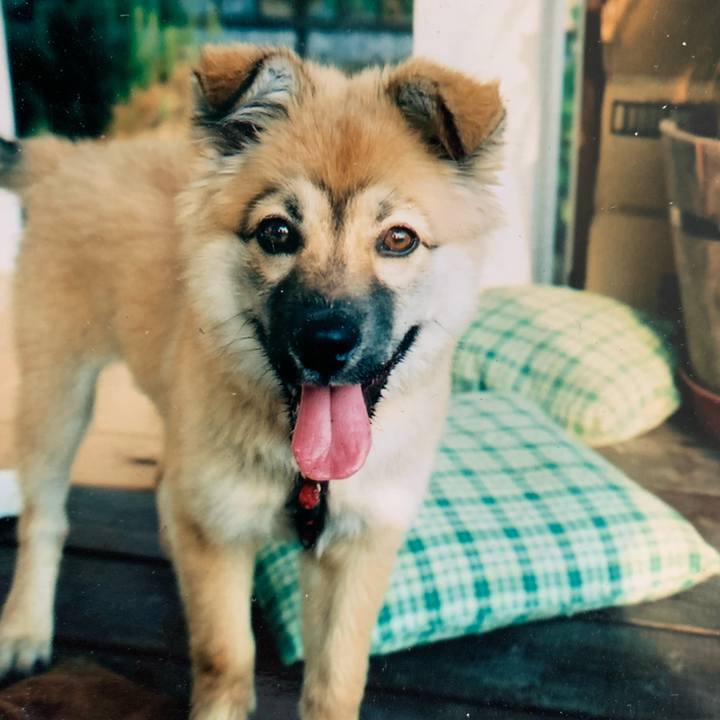 24981815 ddee 4bc3 84f7 48deb587b40f 1592500236652