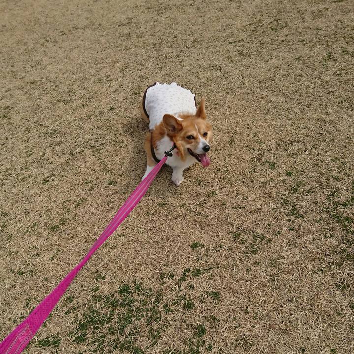 24981b55 0215 49bf b237 312887e391d3 1551849430407