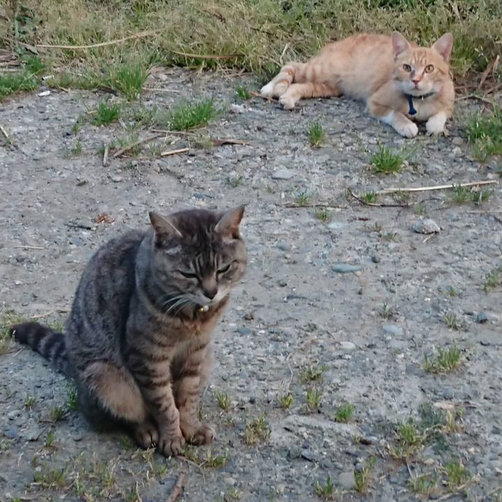 249839af 3f5b 4a45 ac07 6eb67b851880 1558865669933