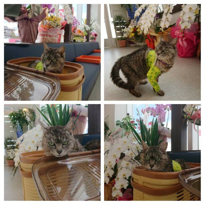 2498431c b9a1 4636 a2ed 88509ab6e124 1586398319955