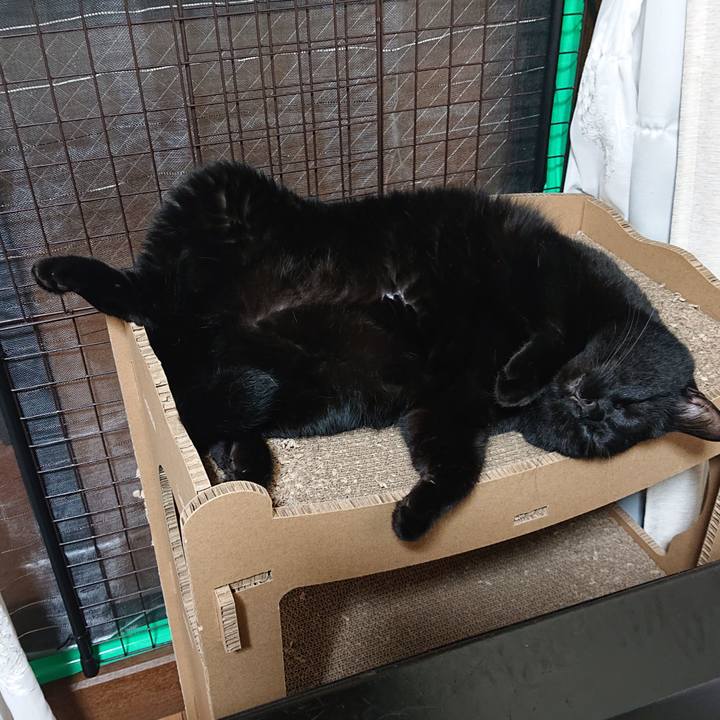 2498460d ab23 4458 a977 d4a38213209a 1660148840559