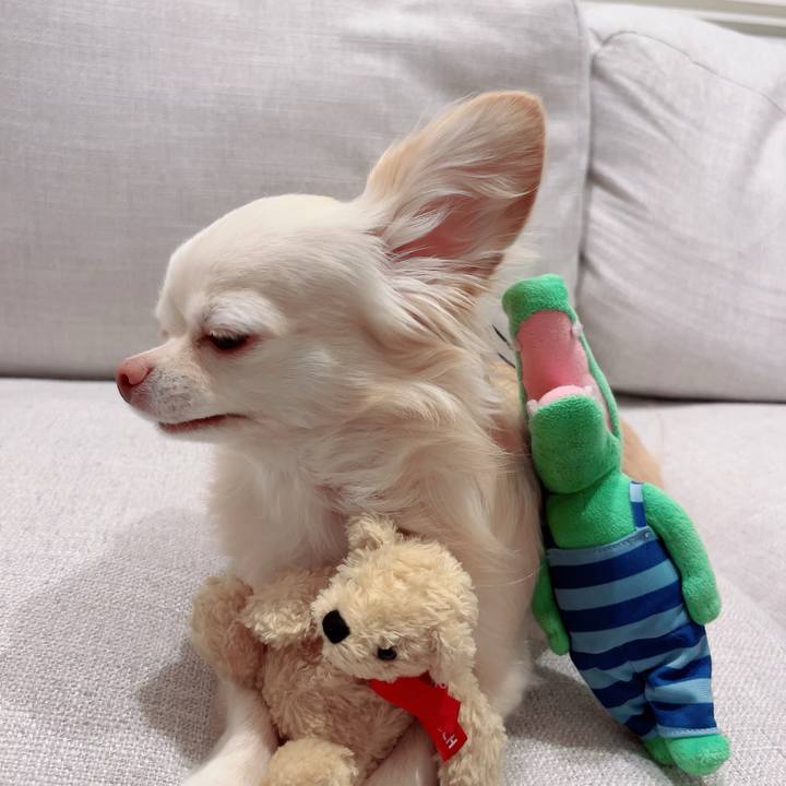 24987bfa f92a 4260 8347 fd8e769adb90 1702290555652