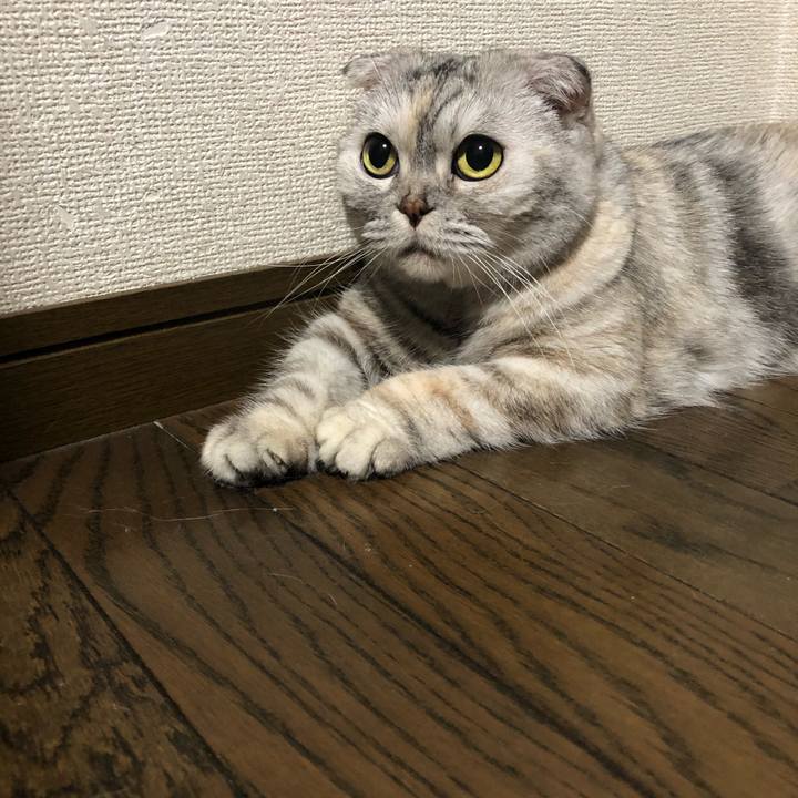 24988609 c144 43b8 93e8 1e82ee10fb15 1597145982660