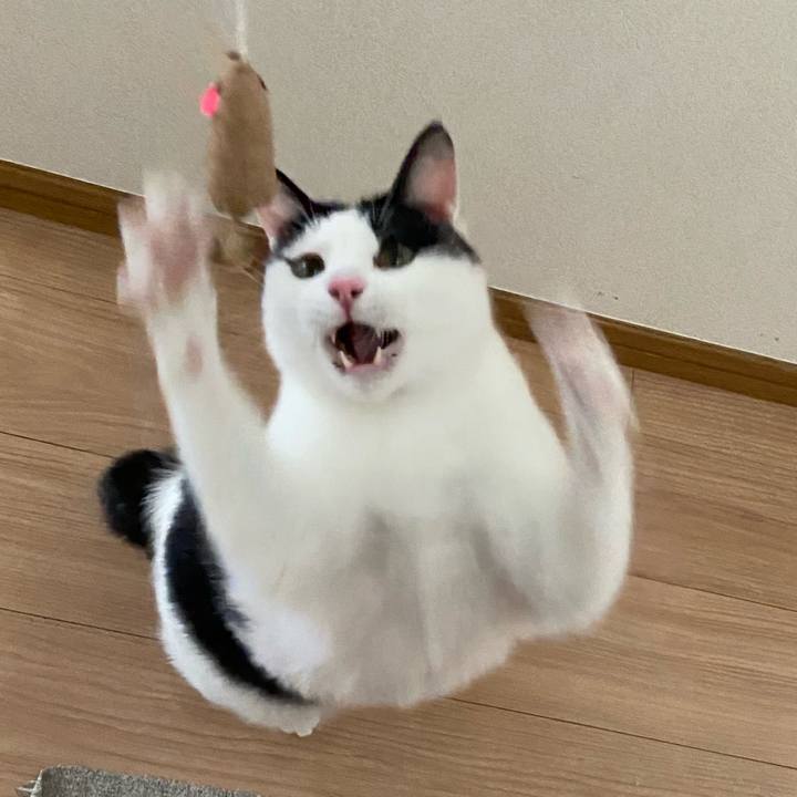 24988af5 37cb 401c 89b9 38ffada7d7d3 1586603900615