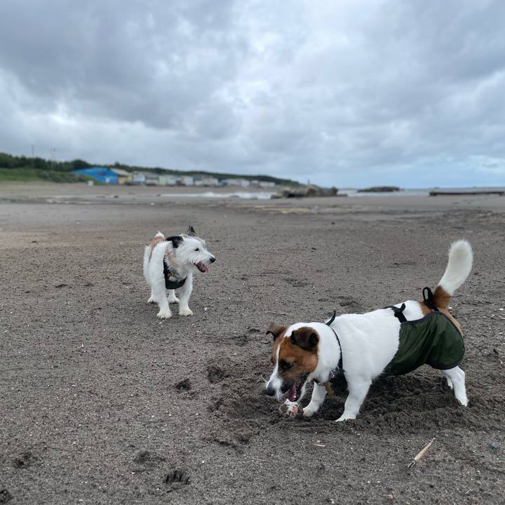 2498bb9a b713 45dc 87cf 63bdccc9543d 1757808302394