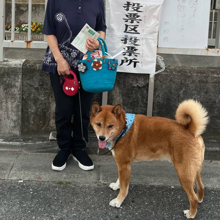 2498bd82 254b 44a0 aa20 a4768b827189 1720346867254