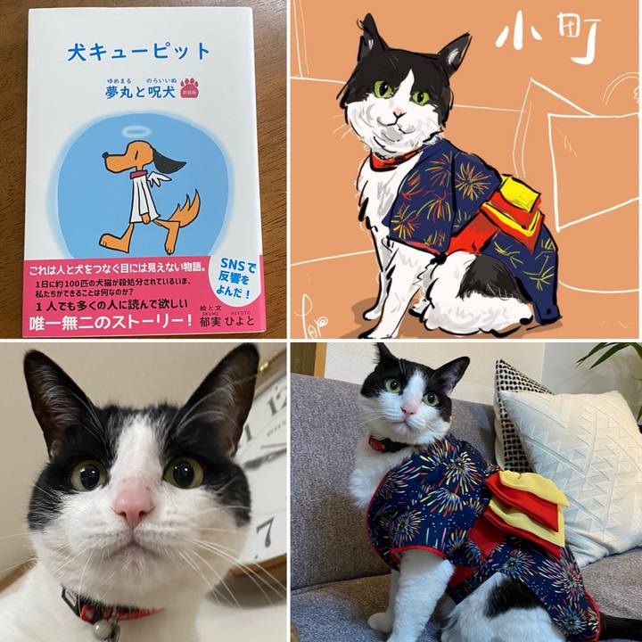 2498d540 ef06 4b80 a395 c674aa784fbd 1713176478086