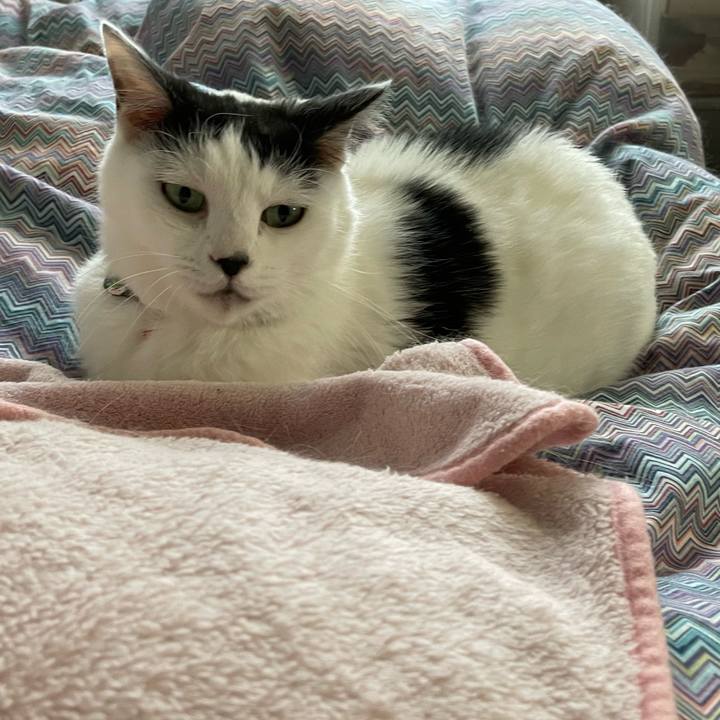 2498daab 111c 487c 9e09 5d28d5a2ee51 1637192114298