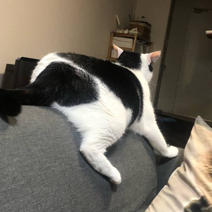 2498ef17 475b 4327 bbcc 77bd20c41d68 1559230375922