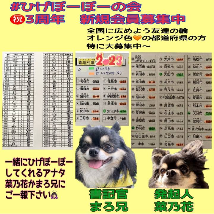 2498f1e8 cdb9 4d3e b82c 3475fd8952ea 1675993821423