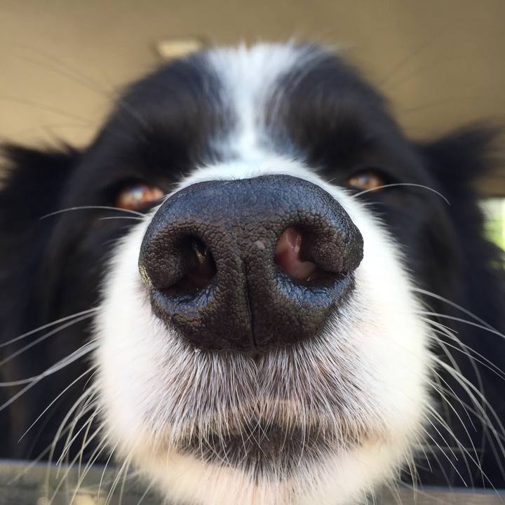 24990bd6 bd7f 4348 a0be 1f79b15a1487 1538352394482