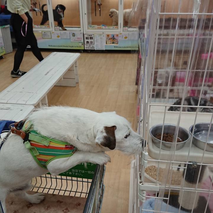 249912d8 e69f 43a5 965f f10cc5d2355b 1548718057997