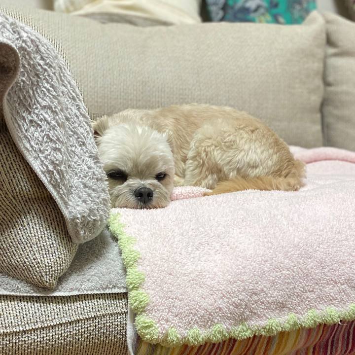 24994045 f73e 4508 8b8d f1f22efc5004 1580386513060