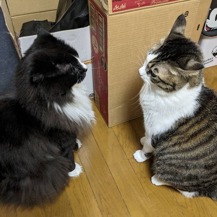 249944c9 bb85 4e10 8b37 0d9042fb8cf7 1673008322891