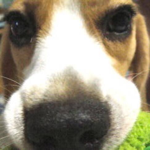 2499482f 94bf 42ee 9ff4 603c448a04da 1691711640288