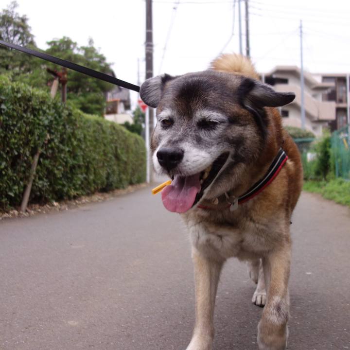 24997a26 9c93 4d0f 902c e3278036df7c 1529724311606