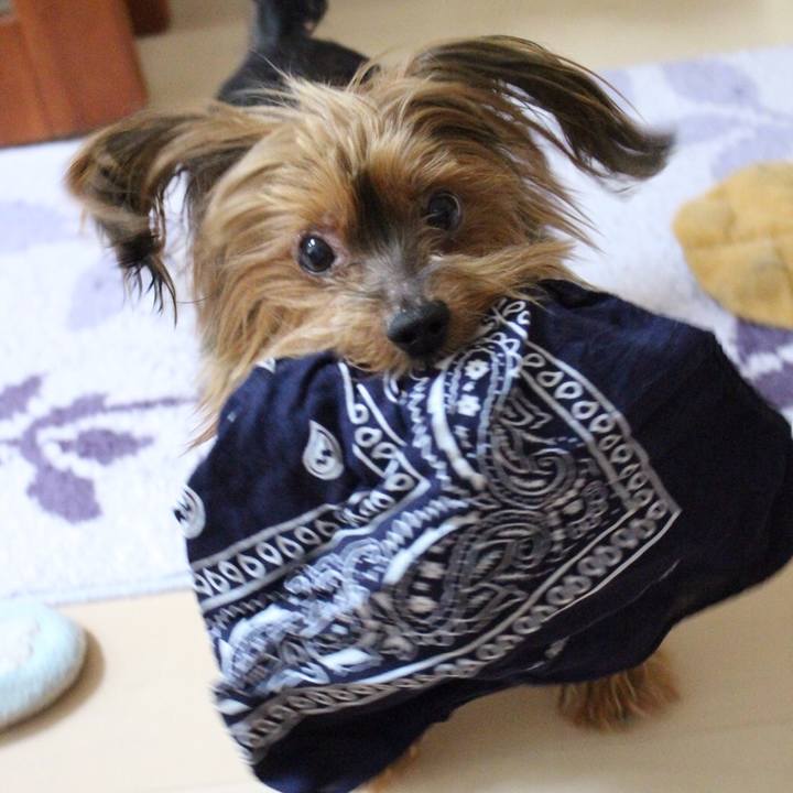 249986bc 2e86 420b 8ef5 bd9f53910a7a 1533786156894