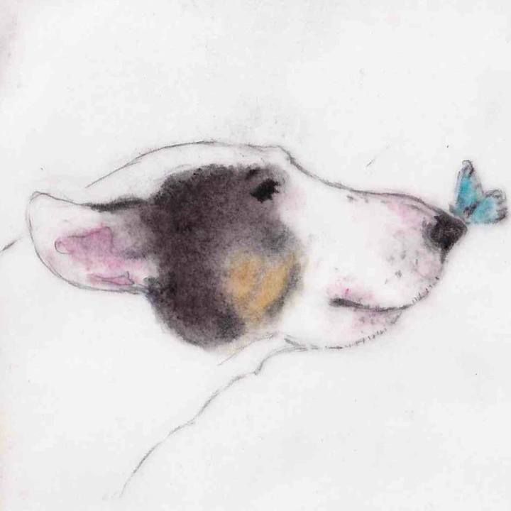 2499cb20 ae09 438e a913 2511e545e9c2 1643210702630