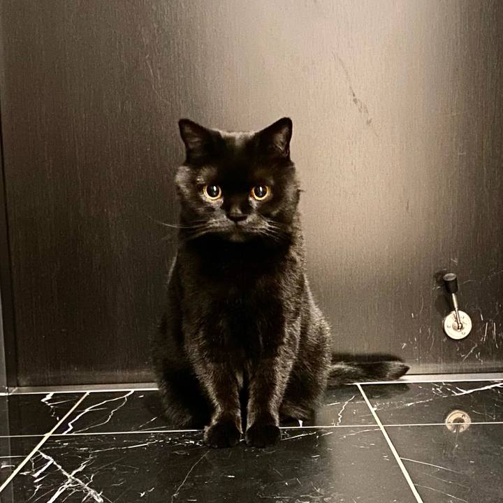 2499e3ef 5a1c 42d9 b84b 9b4a47b15afd 1653137322908