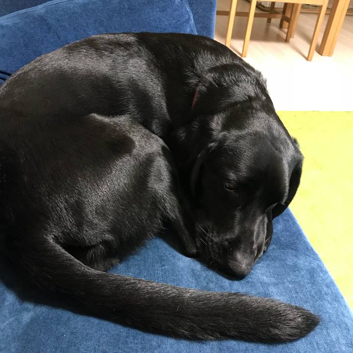 249a0aa3 b970 43b4 a761 88227f7a8b2e 1525264745395