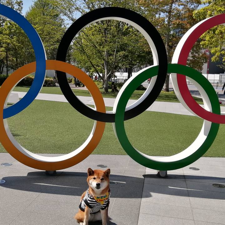 249a0c0d fe70 436a 8a9d ff6a30b640dc 1618070588164