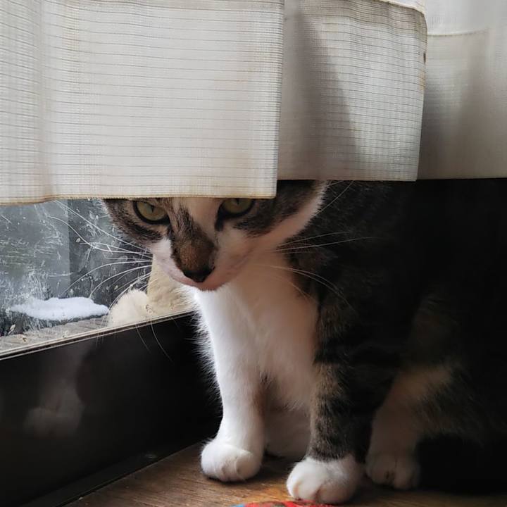 249a4ed8 5b82 4e84 9c1b 7973be5f37a0 1613621243812