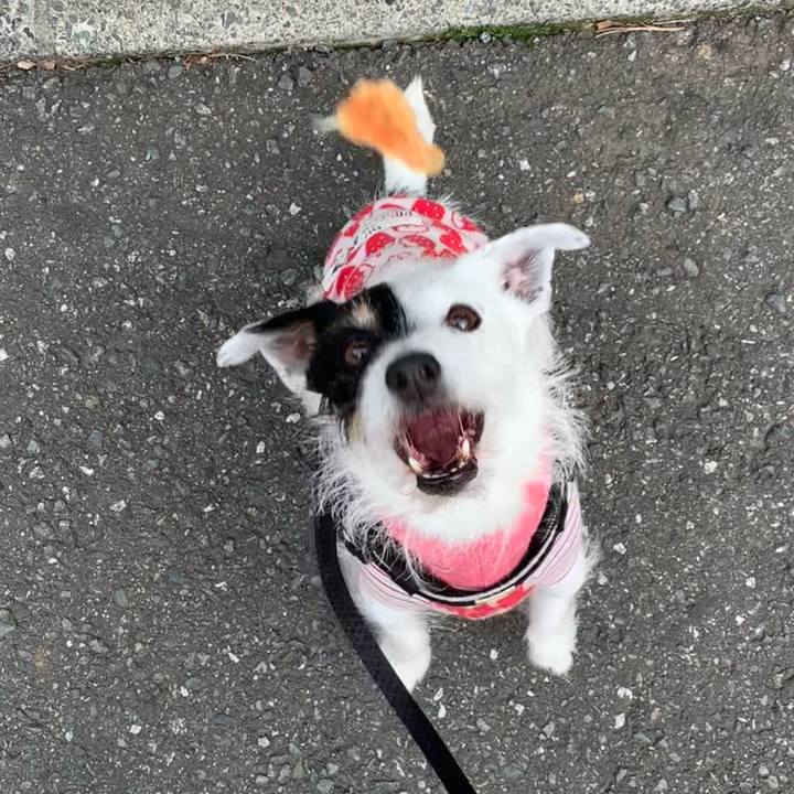 249a6500 e12a 457a a13a 9b83ac21b72e 1710917467785