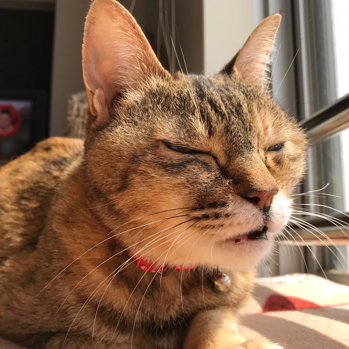 249a8539 03a8 4366 9ff5 a55f4b6ef0b8 1523161785603