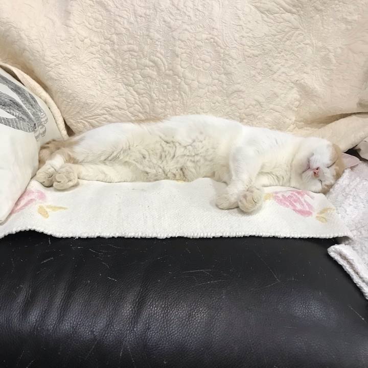 249a8e37 10b5 48ad 8686 745a6c933af2 1598707814276