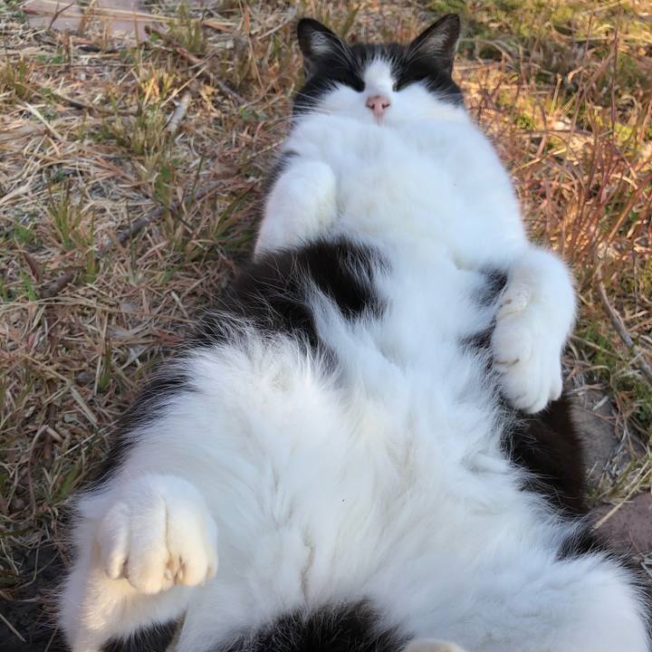 249ac28d b75c 42dd 8269 db5ce5275a76 1605698727932