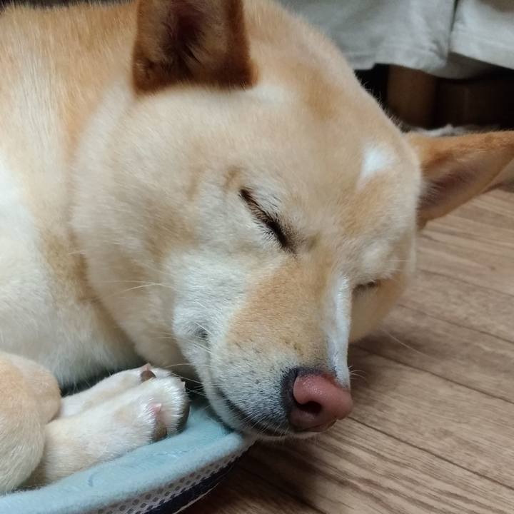 249add59 c258 469f 8285 654090aeeaa6 1562929711457