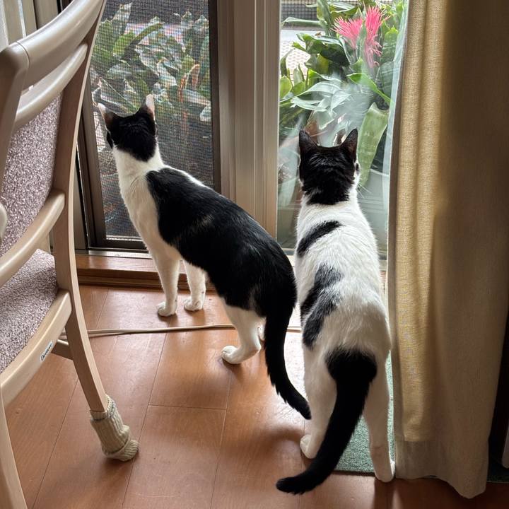 249b14f2 3933 4974 9646 1cf005a45d83 1759187689217