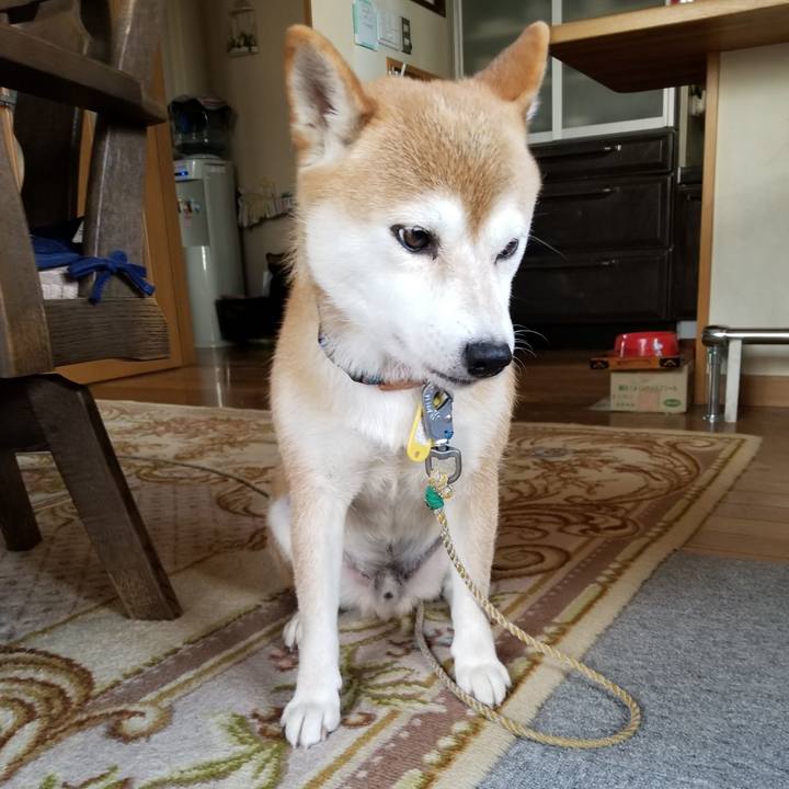 249b438a 6c0e 418a b7b4 04489b41e902 1564902882611