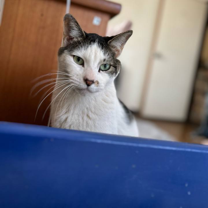 249b66d6 b55f 4c90 9bc2 e4cc3159d51b 1744278824648