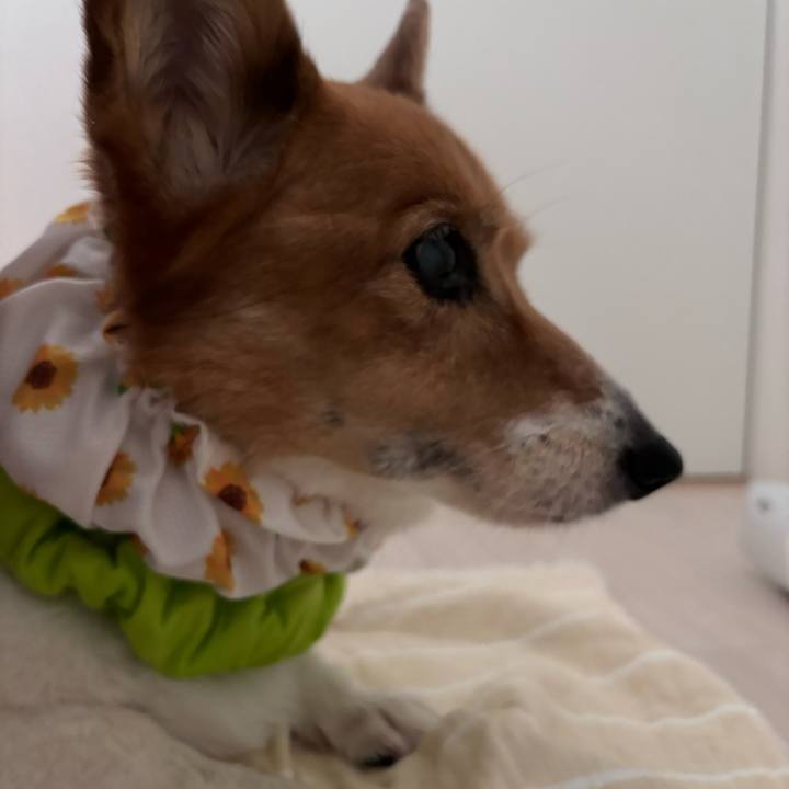 249b7631 6309 4854 ae2a 3fcd1c31056e 1756516811744