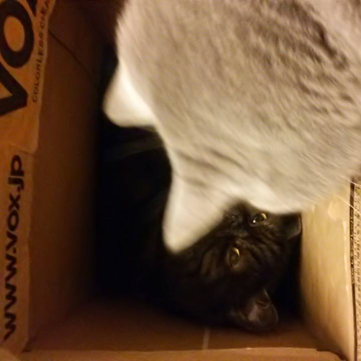 249ba8f0 2784 4918 a1fb 60bffe1efb81 1581207039339