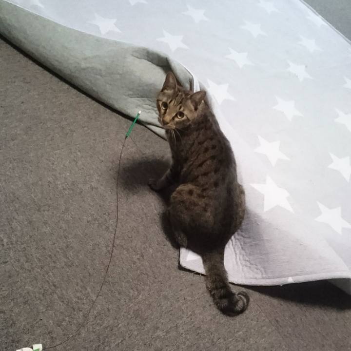 249bb0b9 4c2b 43f5 adac 2212b0ad61f7 1507944315062