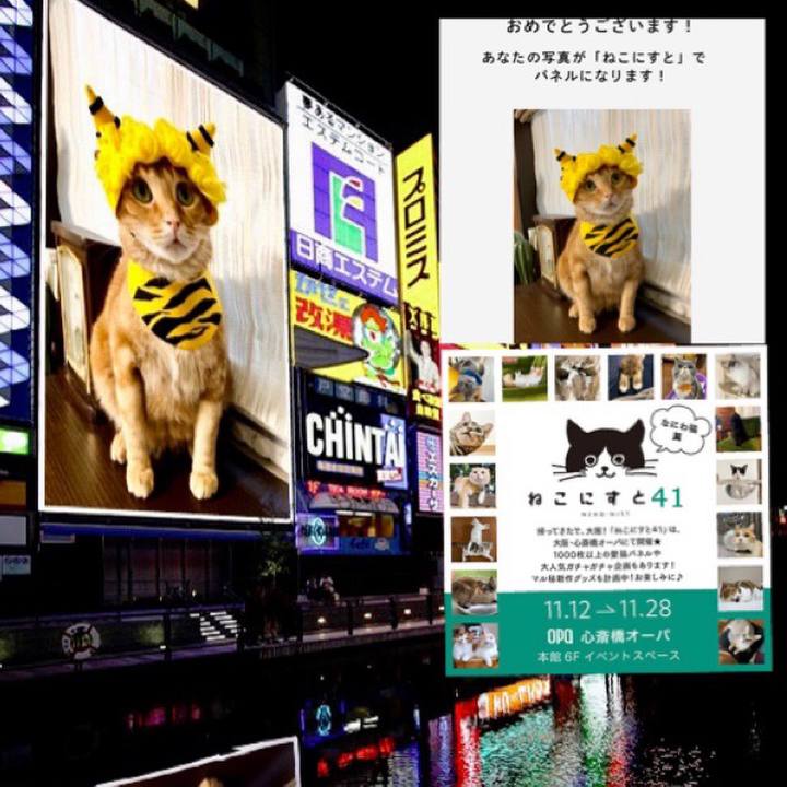 249bbe3b f9e6 422a b445 f9620a2659f1 1634025628926