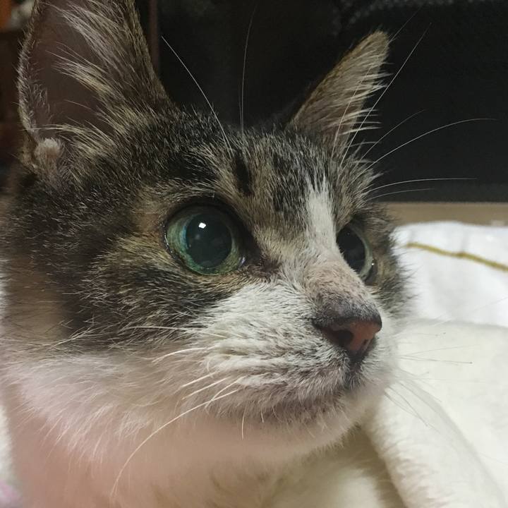 249bda13 cd14 4e61 adb4 14e3f015a7f8 1688162436148