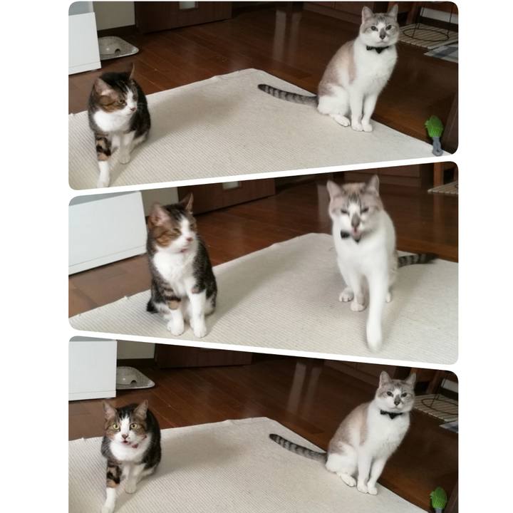 249bf5ef 7174 4a36 93e7 023162ccc83d 1539315767591