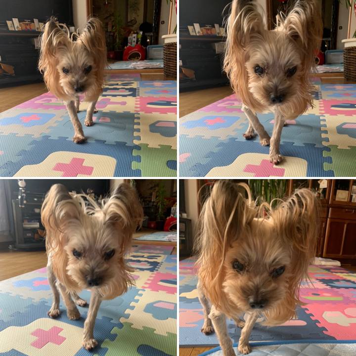 249c1d5e c741 43a5 aa74 d4ea61dcfd91 1656317040745