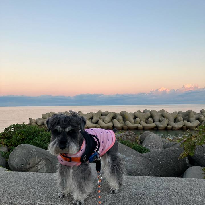 249c2084 29ae 4b70 834b d300b563bea6 1728772532136