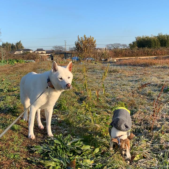 249cd953 9446 4efb ac0c 01c2cfe3f5f7 1577577684555