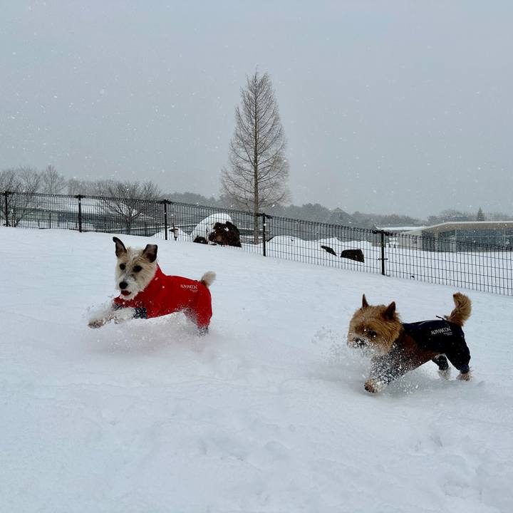 249ce2be 59bb 45bb b929 27c01d96ec34 1769694118110